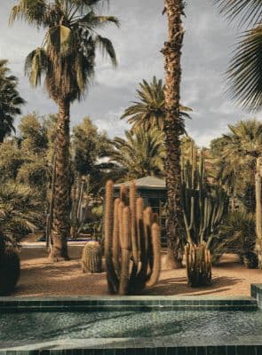 A Cultural Day in Marrakech — photo 3